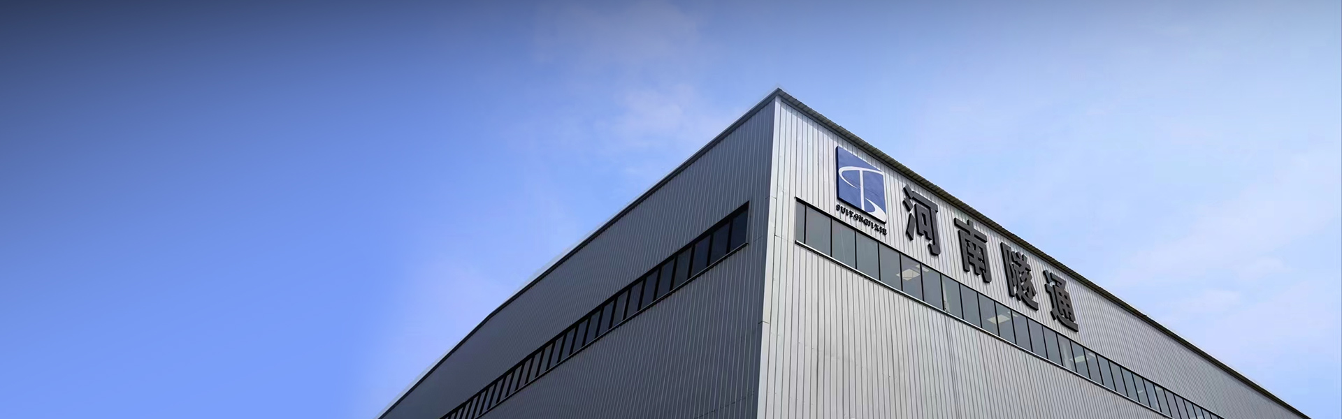 电动葫芦常见故障诊断与排除指南